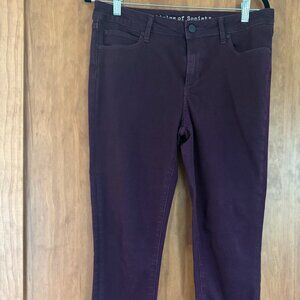 Articles of Society Purple Skinny Jeans Size 30